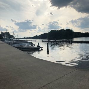 Meet your Posher, Lily